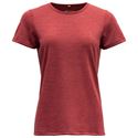 Imagen de DEVOLD  Nipa Tee Women's